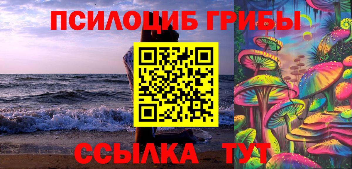 Галлюциногенные грибы Psilocybine cubensis Дубна
