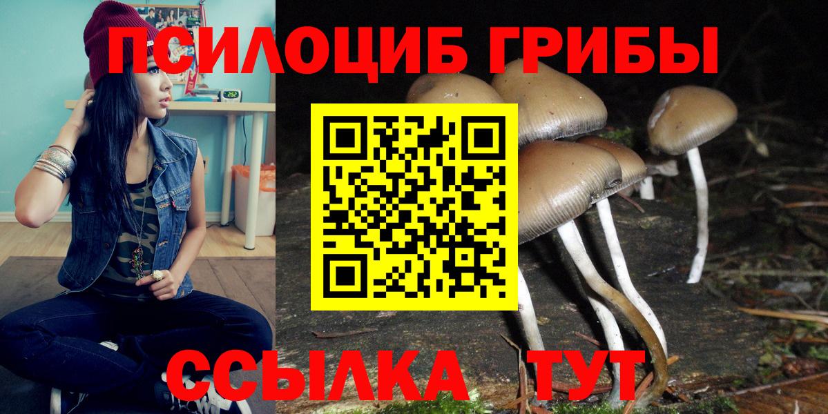 Дубна  Галлюциногенные грибы мухоморы  Вход с VPN 