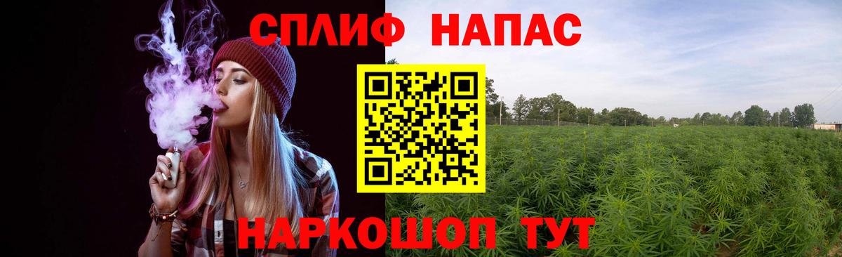 МАРИХУАНА семена Дубна